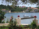 Camp Milina*