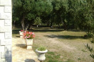 Camp Luka **