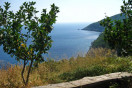 Camp Marina Mljet *