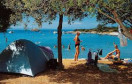 Camp Mlaska *