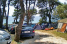 Camping Pineta *
