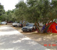 Camping Ivona *
