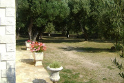 Camp Luka **