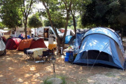 Kamp Diana ***