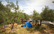 Camp Bor 