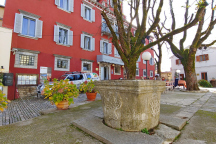 Kamp Motovun * 