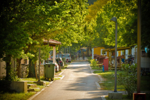 Camp Medveja ***