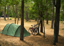 Camp Oštro 