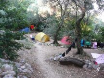 Camp Pod Maslinom 