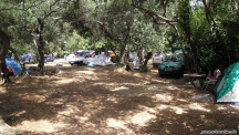 Camp Pod Maslinom 