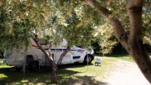 Camp Kate 