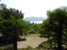 Camp Trsteno 
