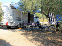 Camp Mindel*** 