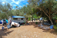 Camp Denka* 