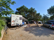 Camp Lupis**** 