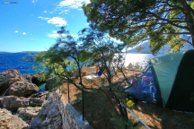 Camp Ponta **** 