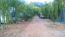 Camp Liberan ** 