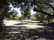 Camp Luka ** 