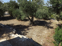 Camp Luka ** 