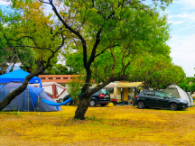 Camp Trstenica *** 