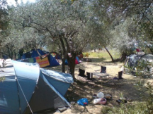 Camp Bambo * 