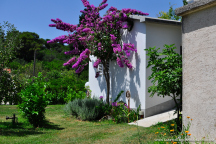 Camp Bačinska Jezera *** 