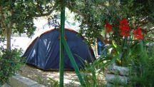 Campsite Mario *** 