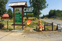 Camping Bear *