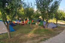Camping Bear * 