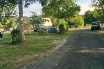 Camping Bear * 