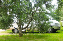 Camping Kito *** 