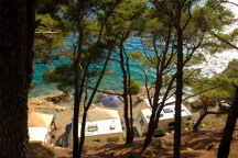Camp Sirena ** 
