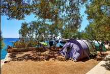 Camp Paklina ** 
