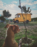 Camp Biokovo *** 