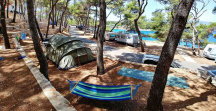 Camp Holiday ** 