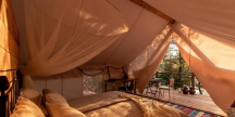 Camp Holiday ** 