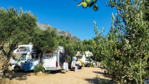 Camp Podaca *** 