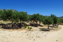 Camp Kopito * 