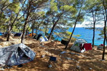 Camp Lili * 