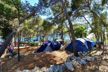 Camp Lili * 