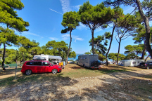 Kamp Arena Stupice ** 