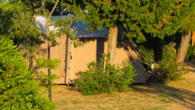 Camp Arboretum ** 