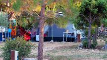 Camp Arboretum ** 