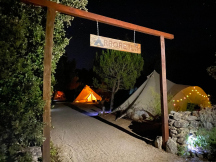 Camp Arboretum ** 