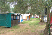 Camp Brajde * 