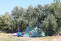 Camp Daleka Obala * 
