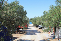 Camp Daleka Obala * 