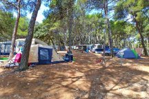 Kamp Arena Runke ** 