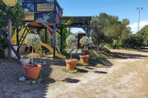 Camping Matija *** 