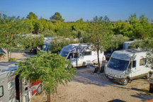 Camping Maslina - Drage *
